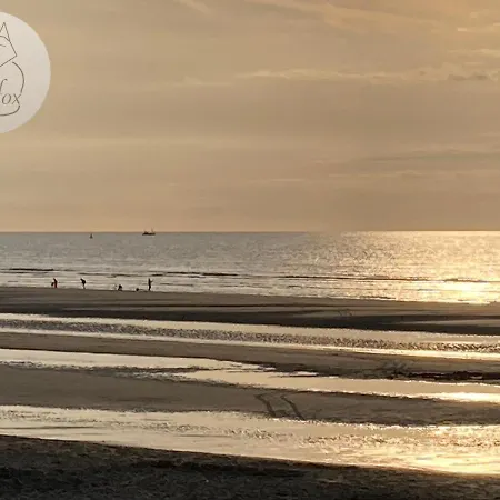 Seafox Lägenhet De Haan