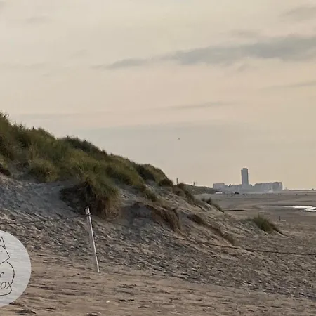 Seafox De Haan