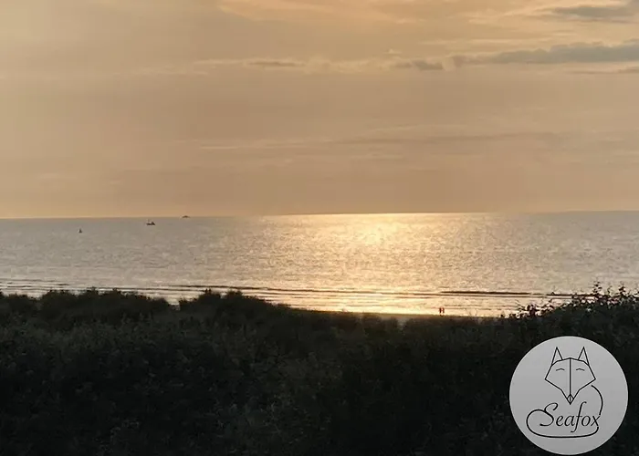 Seafox Апартаменты *