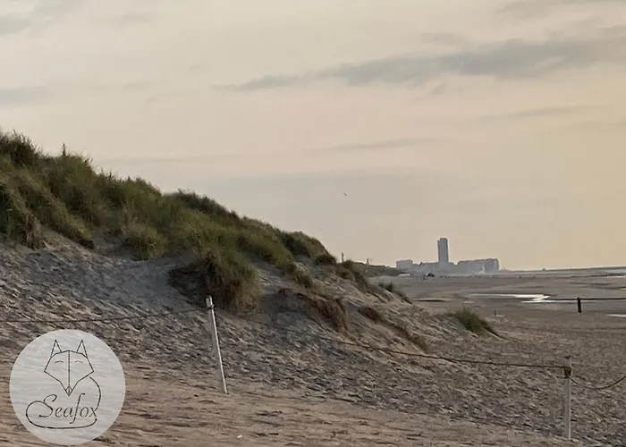 Seafox Де-Хаан