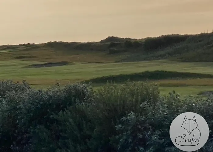 Seafox * Де-Хаан